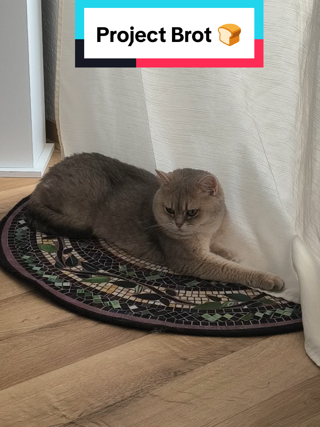 @Nala