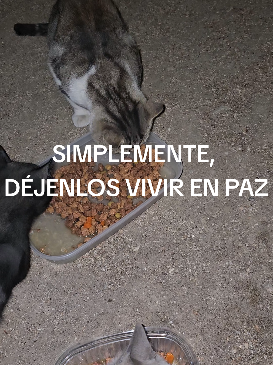 @garritasespaciales