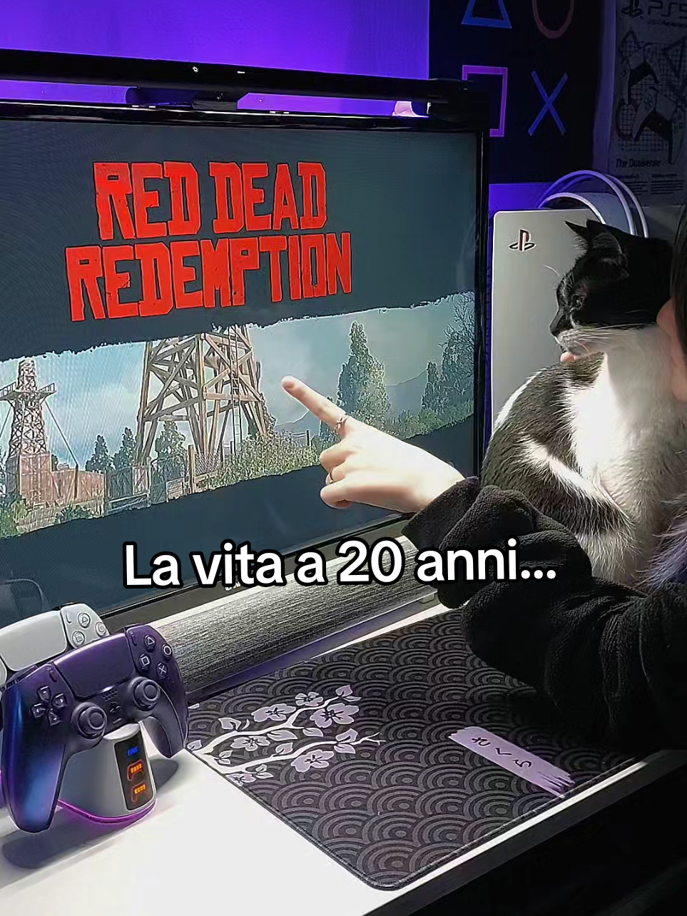 @Rin 🎮