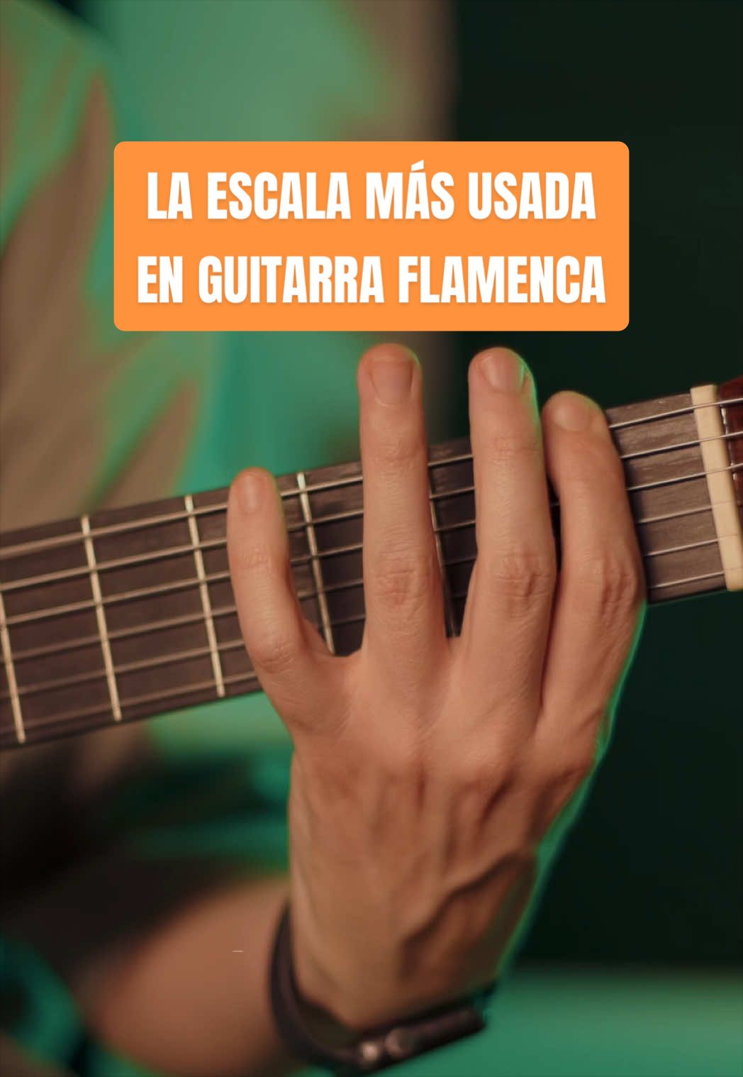 @pepecarmonamusic