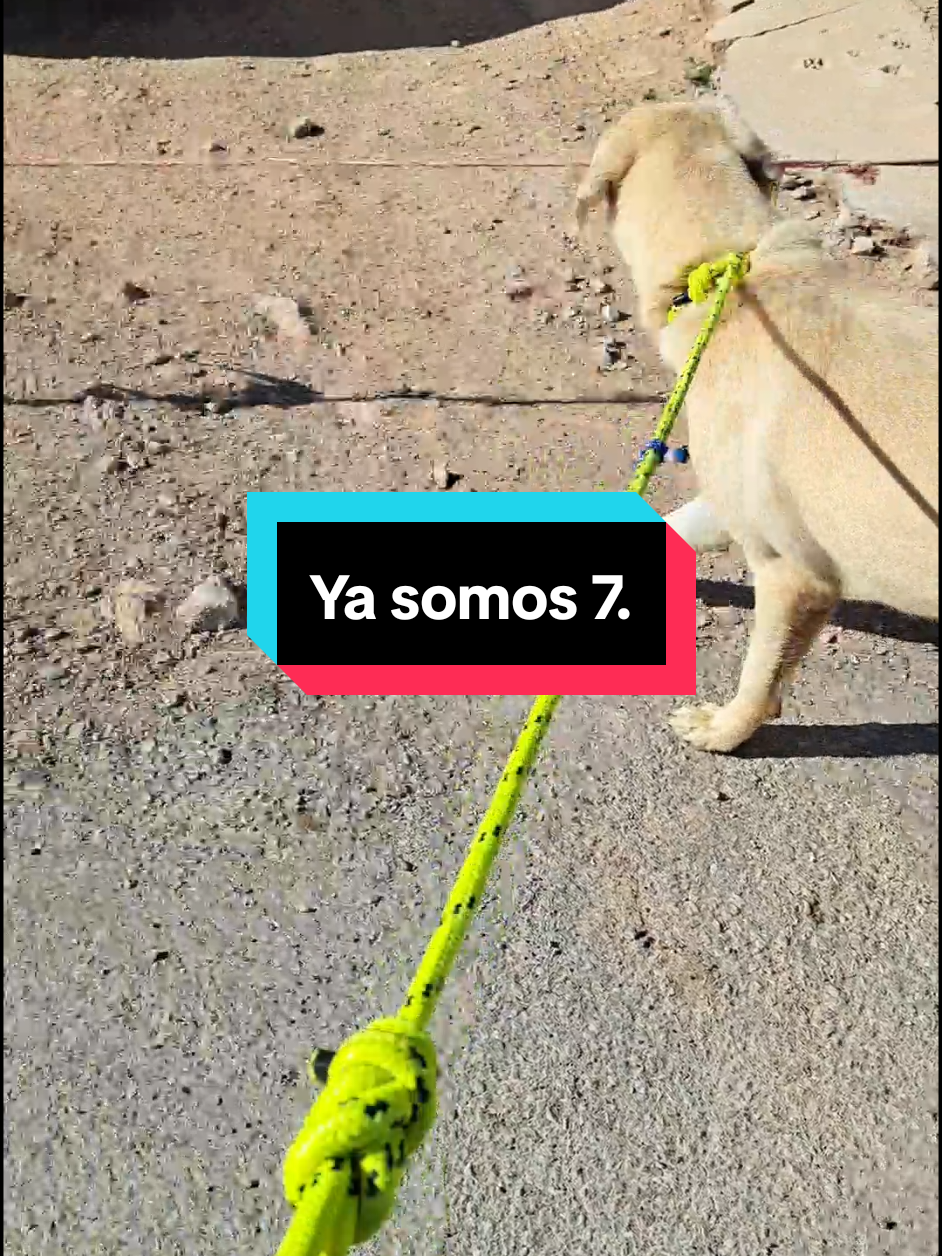 @Vive Rutas