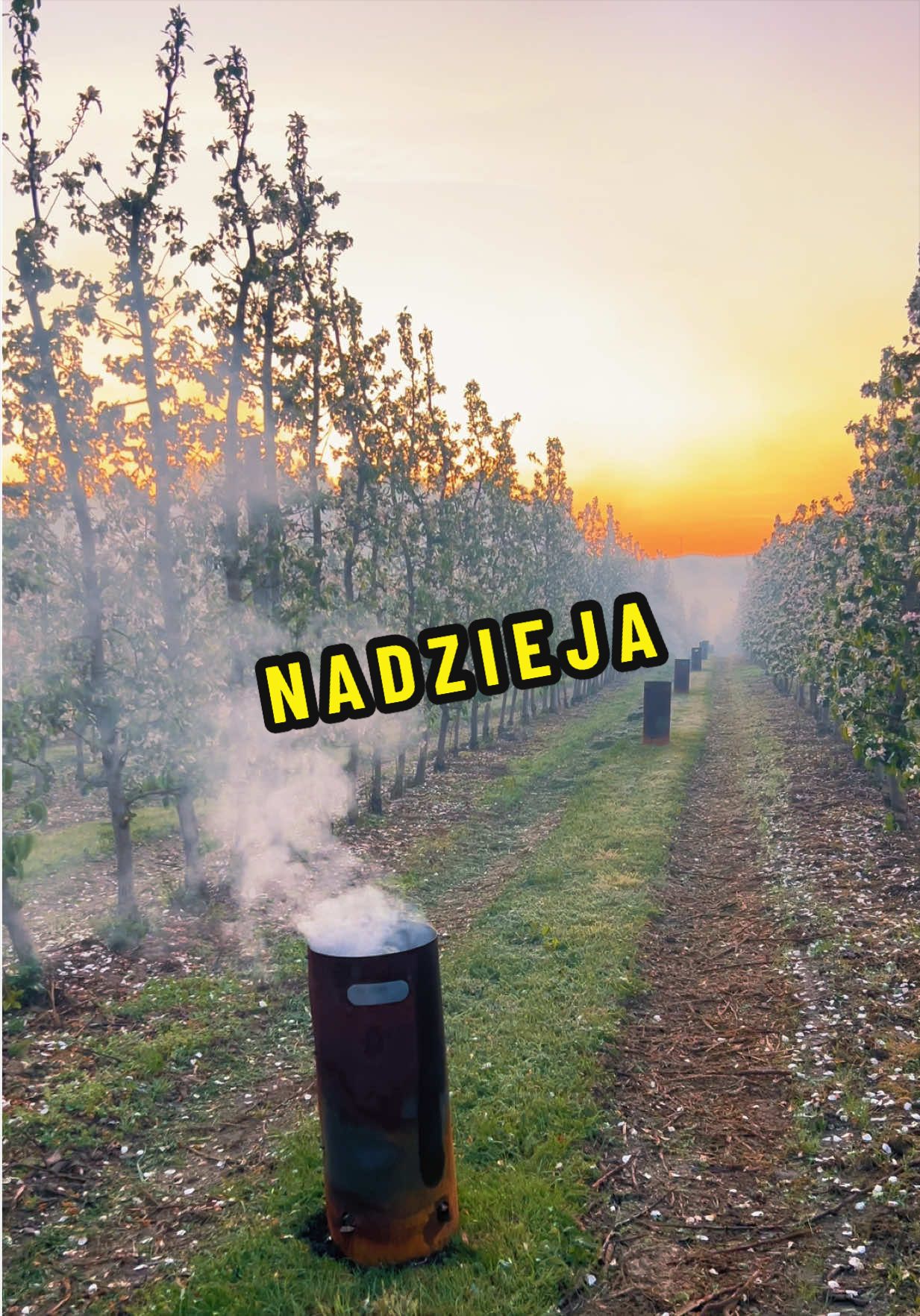 @Sady Puczyński