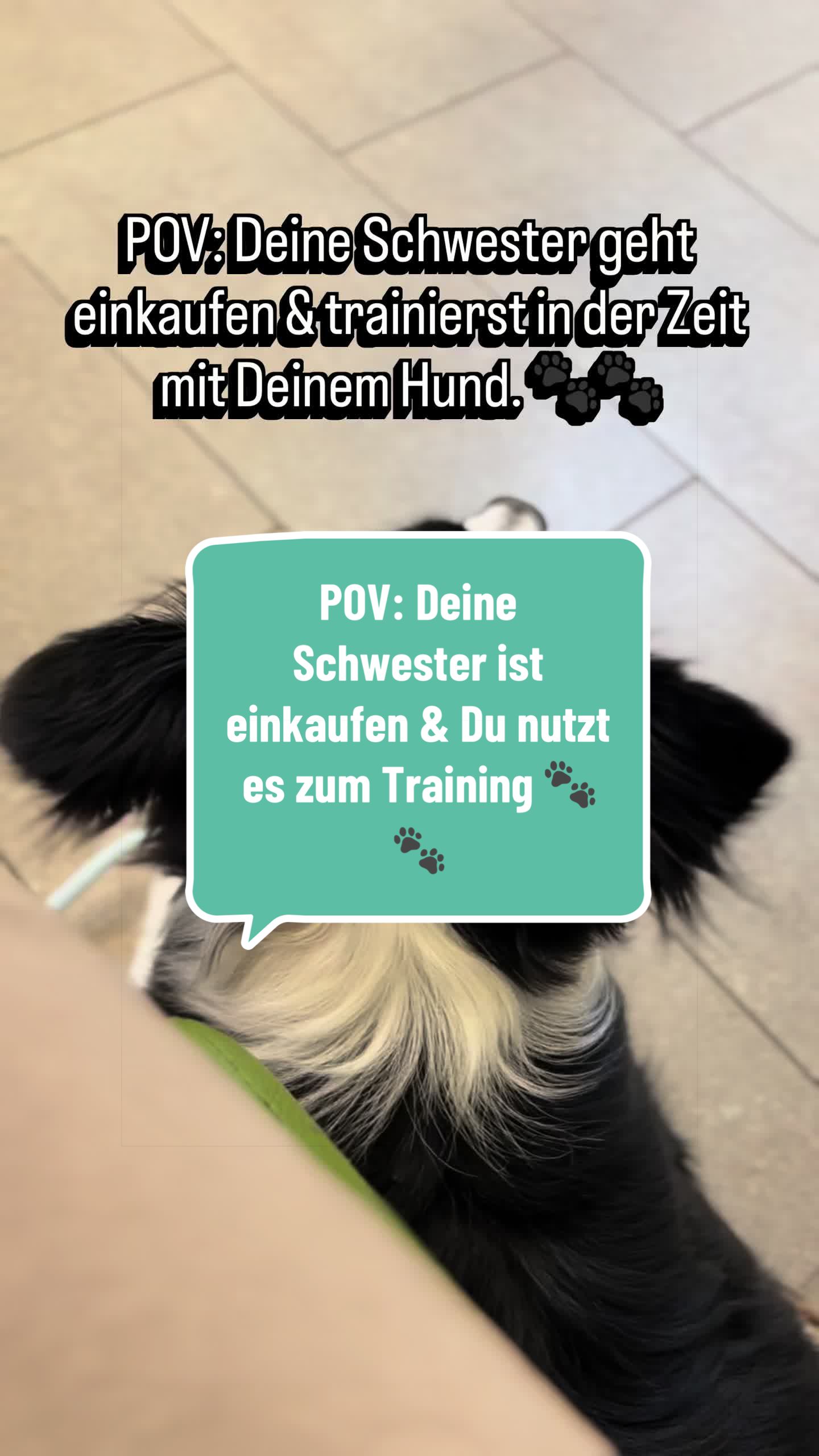 @ELAS.PET.DIARY