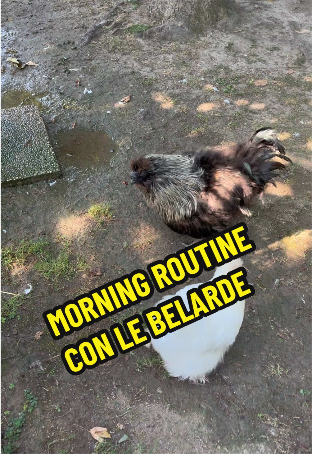 @Eleonora B.
