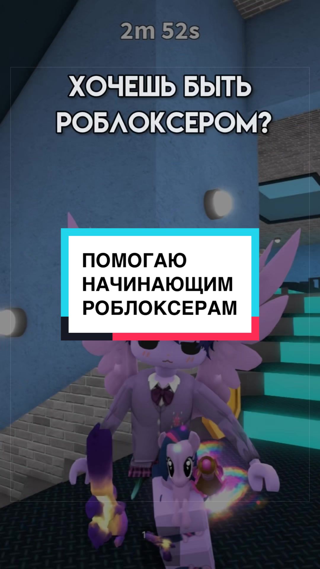 @котя 🐈⬛
