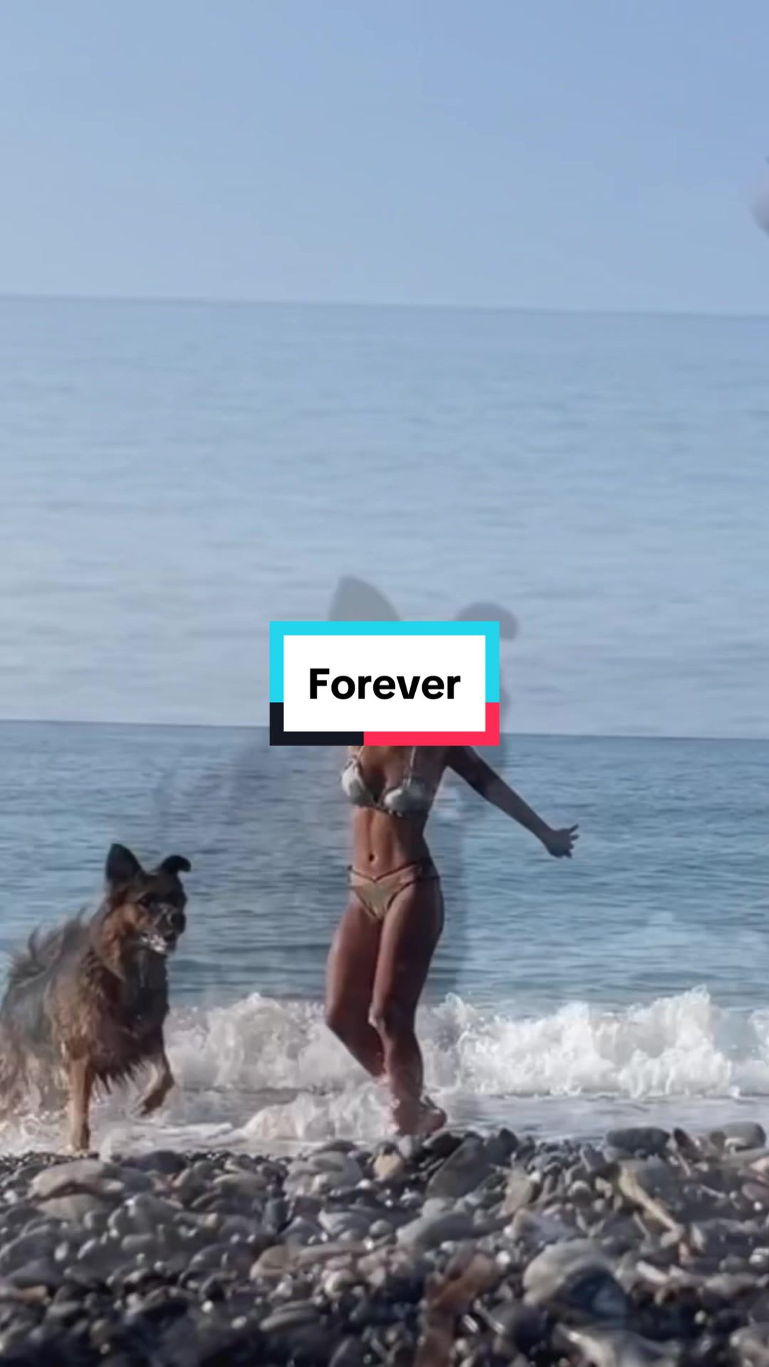 @Seren95a