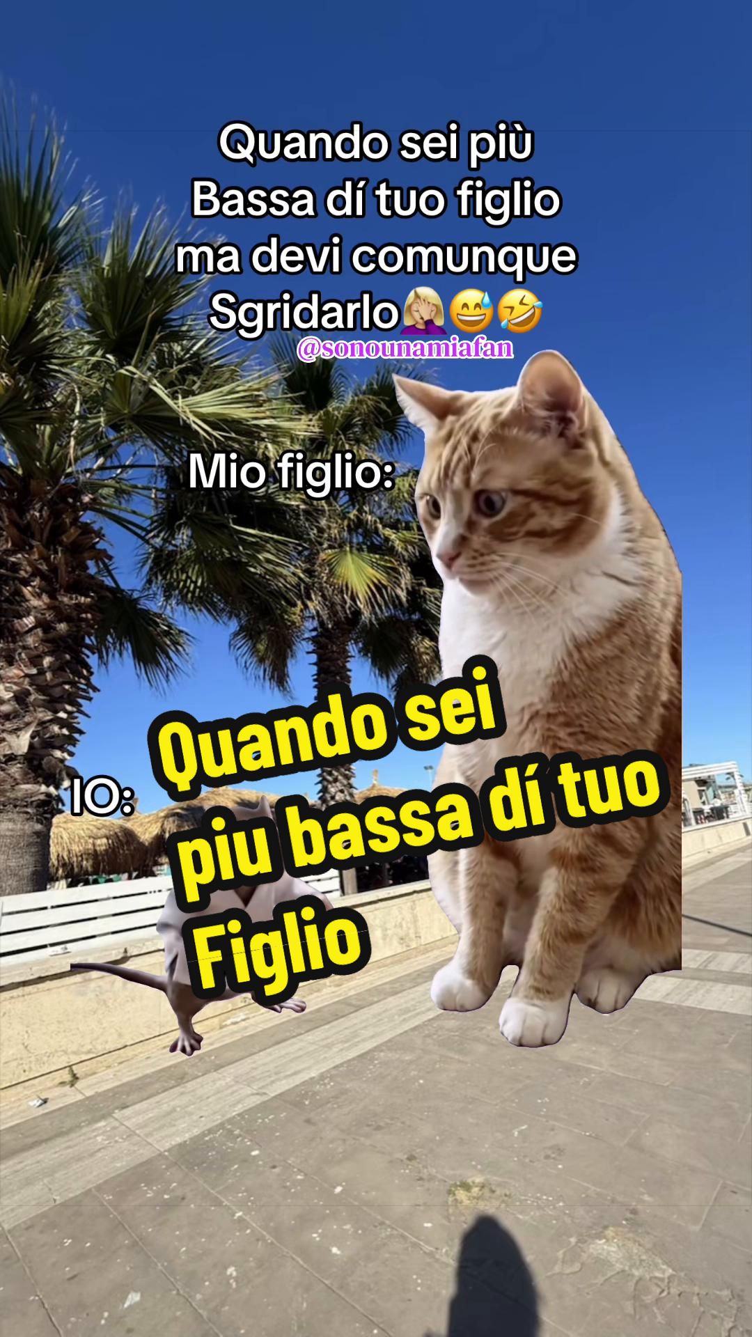 @👑SONO UNA MIA &ldquo;FAN&rdquo;👑