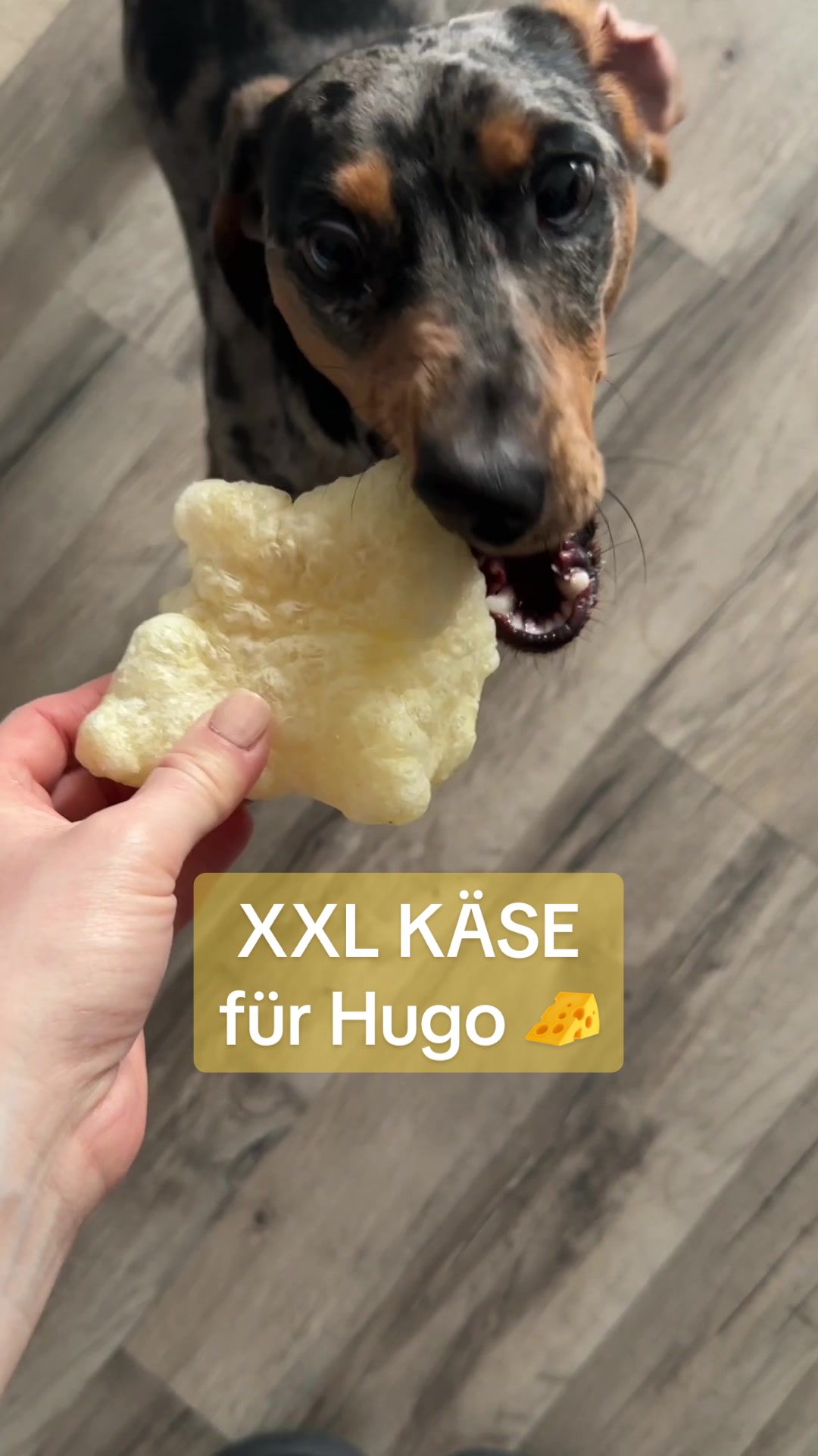 @Hugo