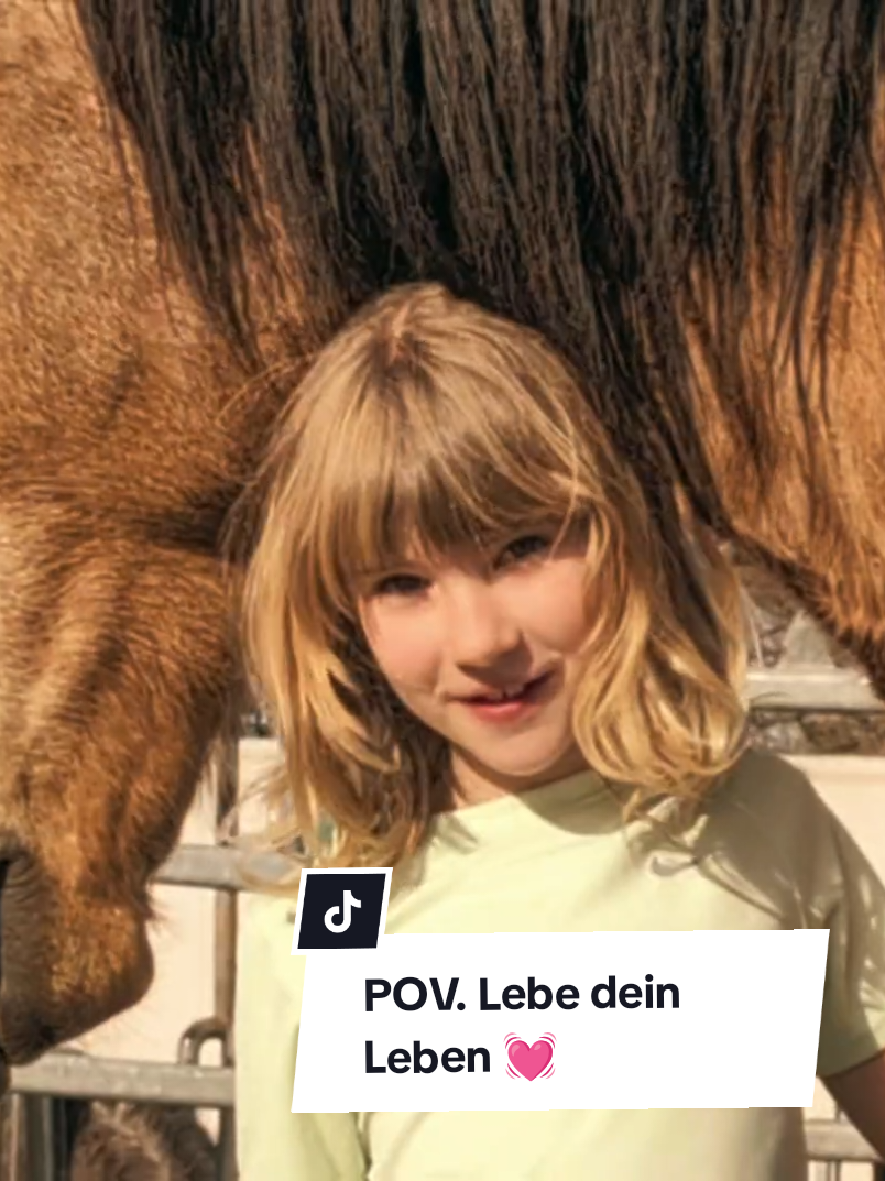 @Caro_Sofie_Offenstallliebe