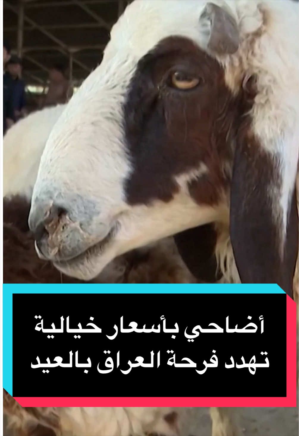 @عربية DW