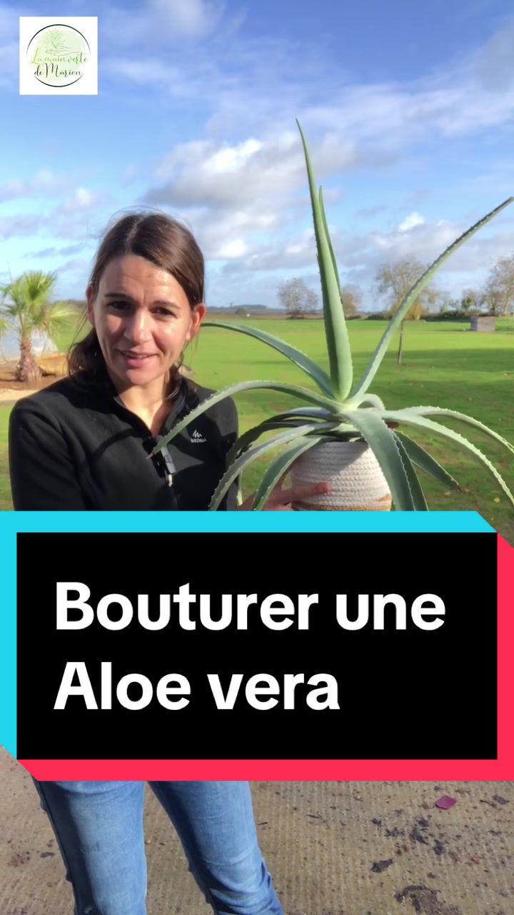 @La main verte de Marion
