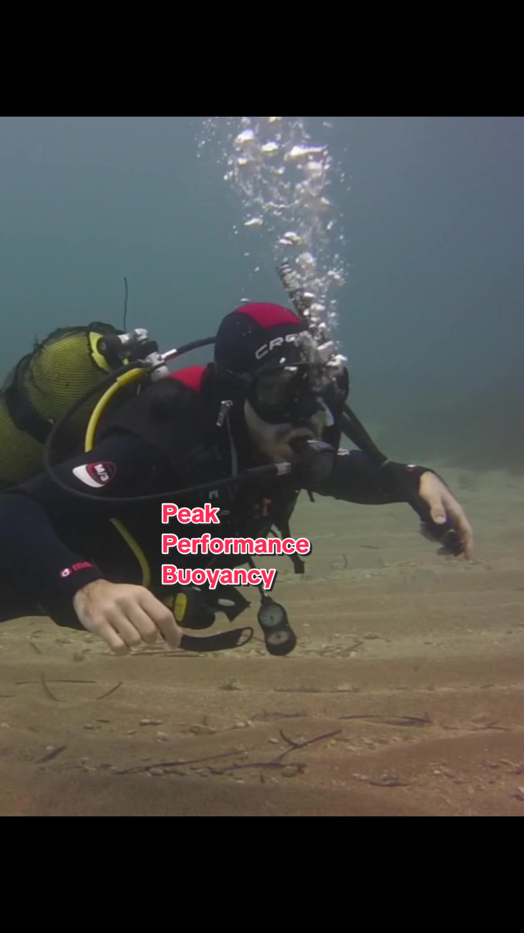 @Seahorsedive