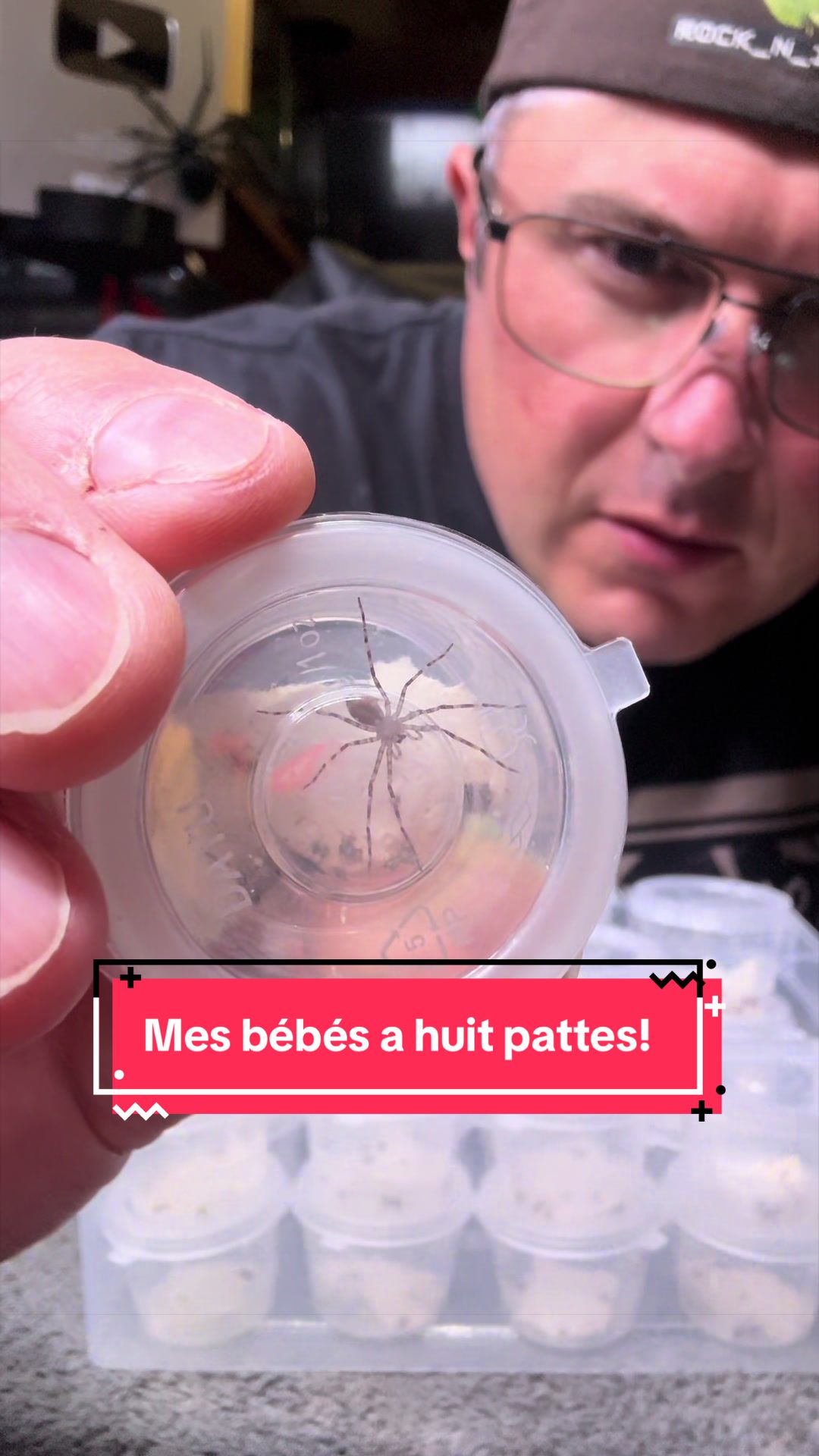 @Rock_n_insectes