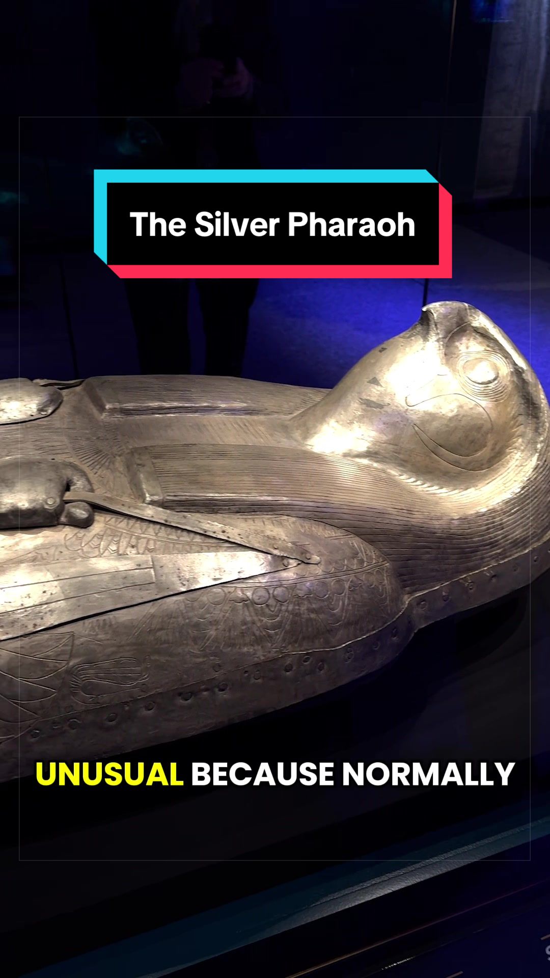 @Raven | Archaeologist