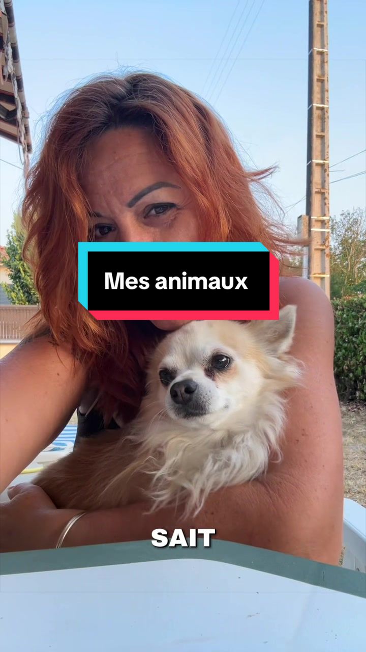 @50.nuancesdemoi