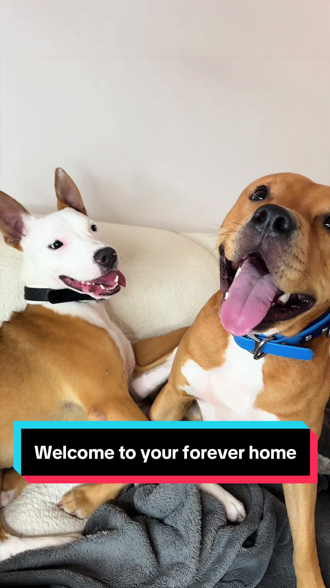 @Kaja & Macho 🥰