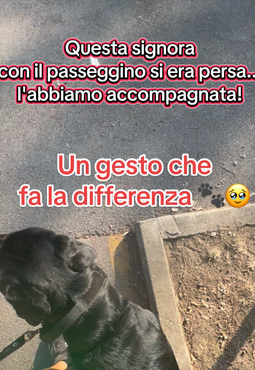 @Le avventure di Thor 🌪️ w ❤️