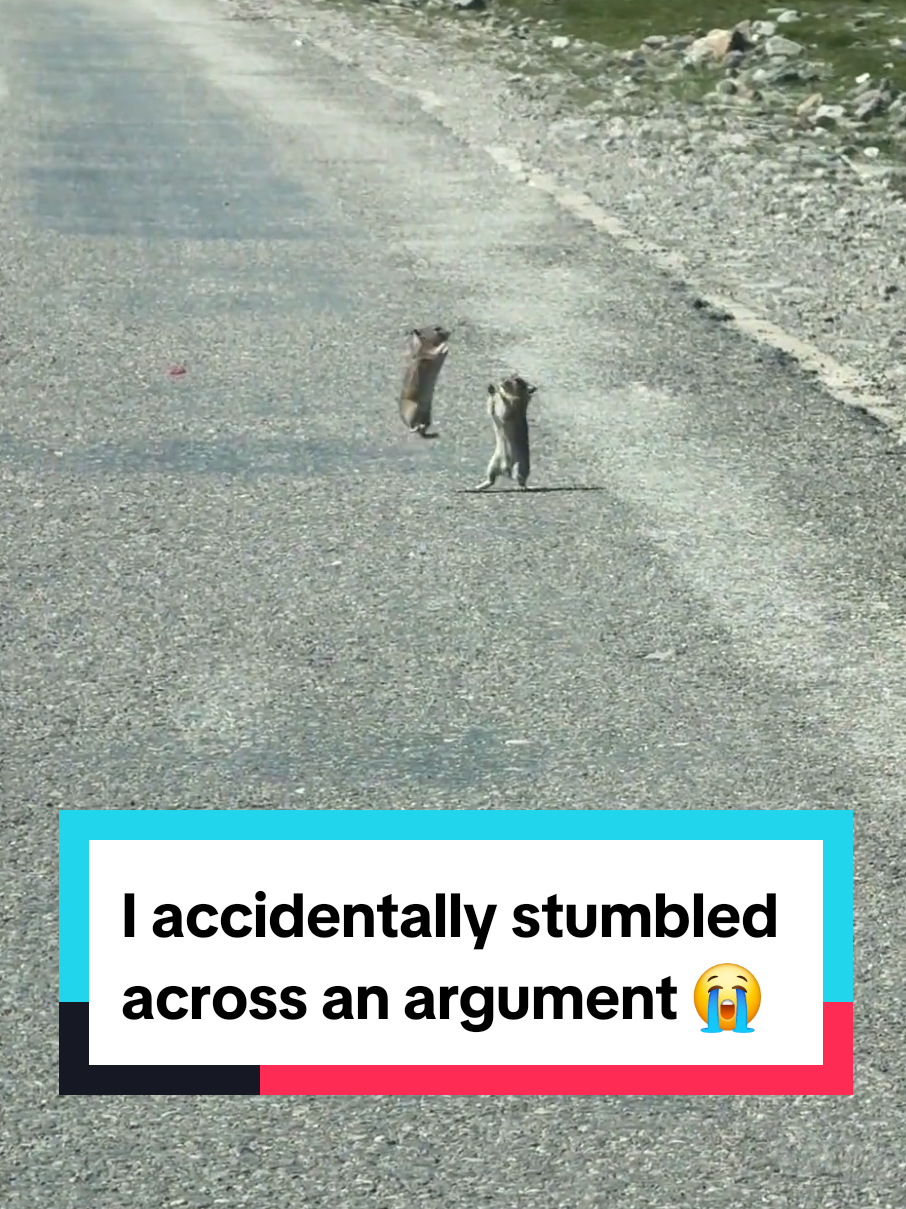 @Underrated Moments
