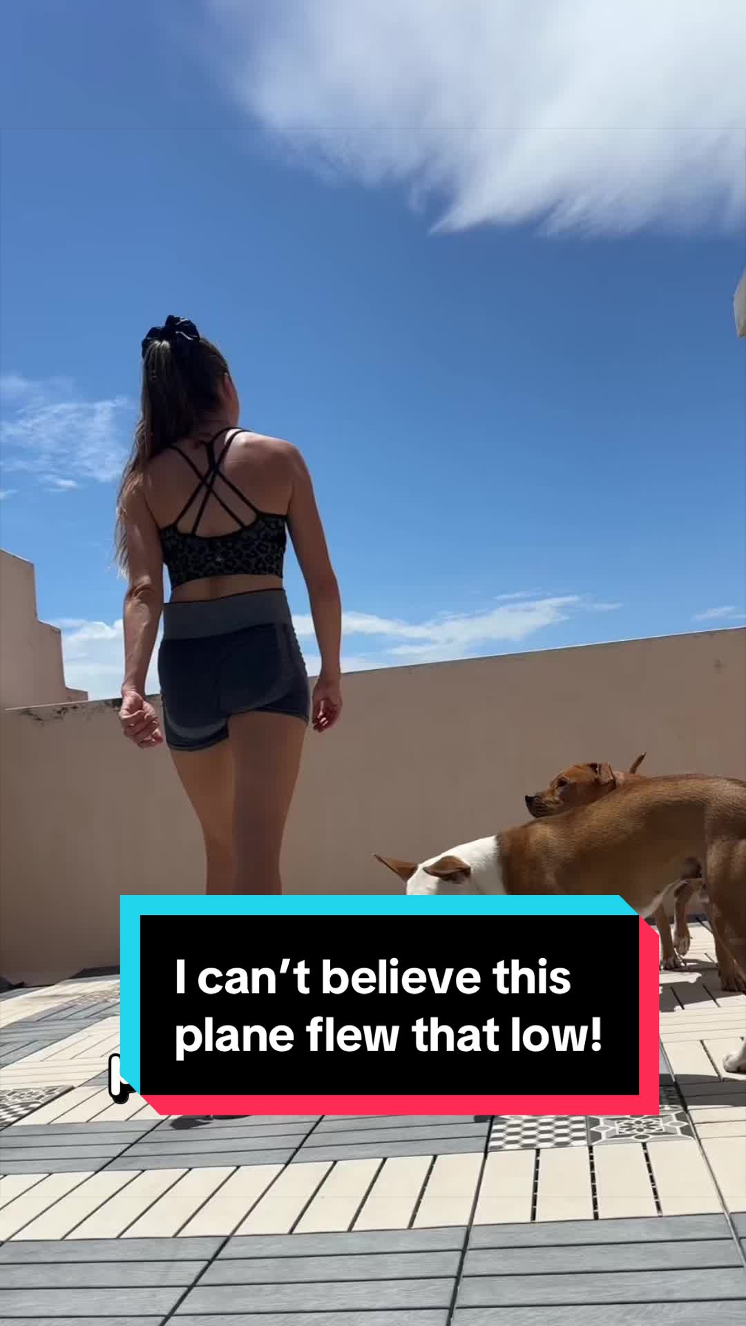 @Kaja & Macho 🥰