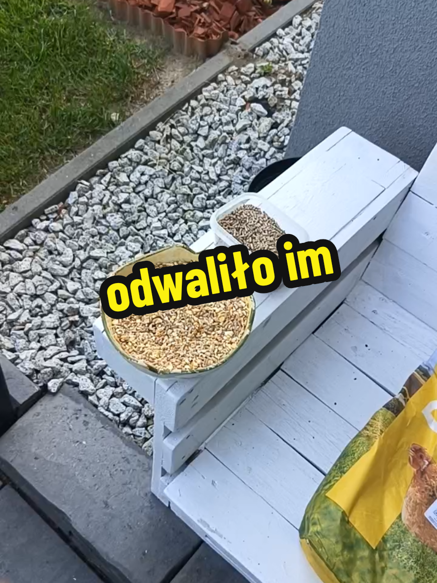@Marcin ogrodnik