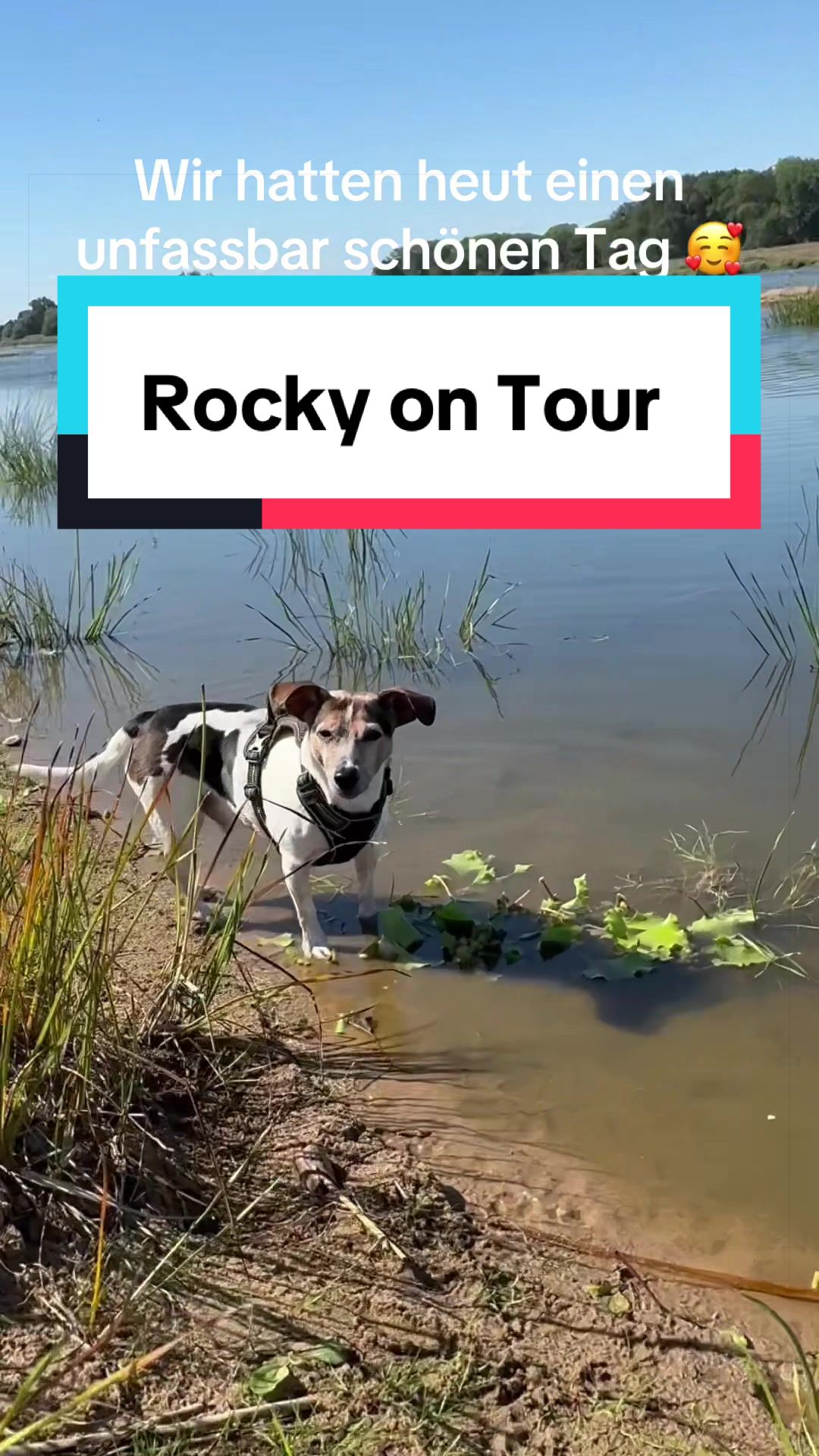@Rocky und ich