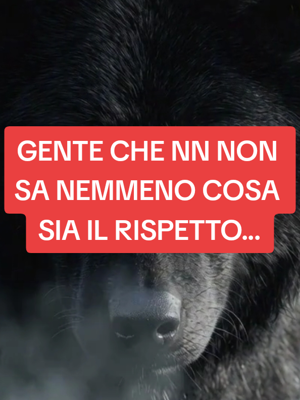 @ALESSANDRO_IL_ROMANO