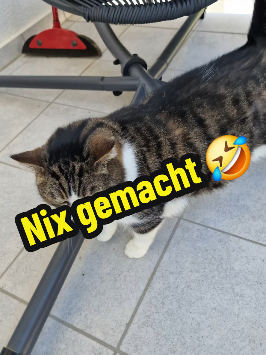 @gp