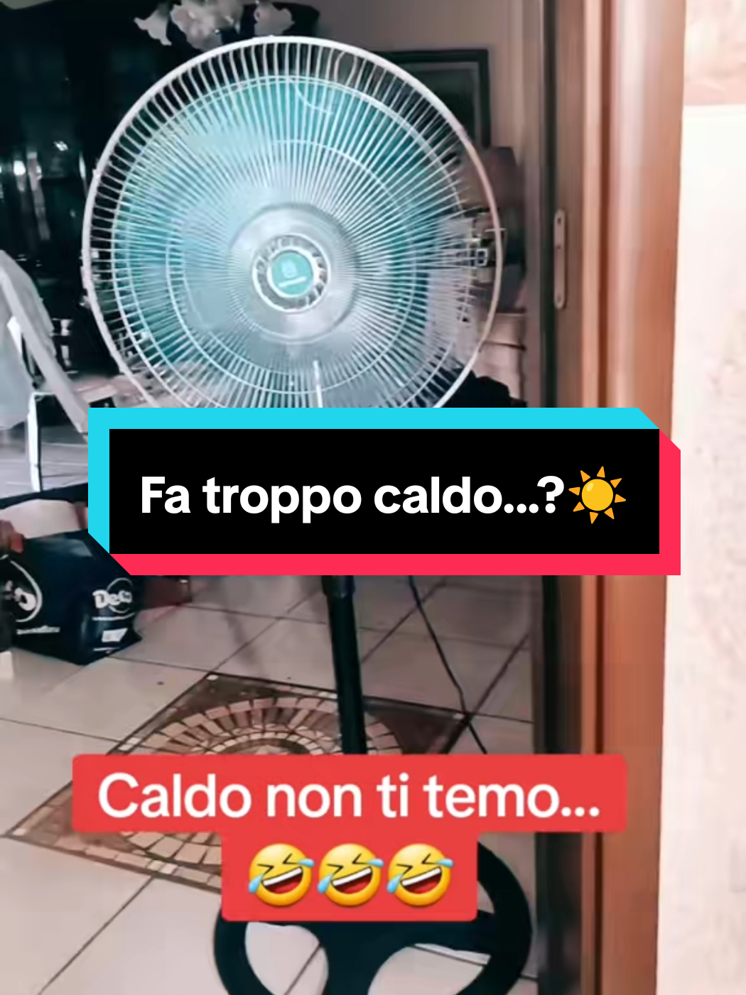 @Manuelnapo84