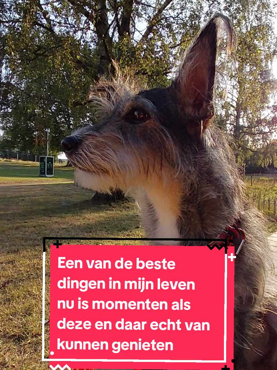 @Safrina's wereld