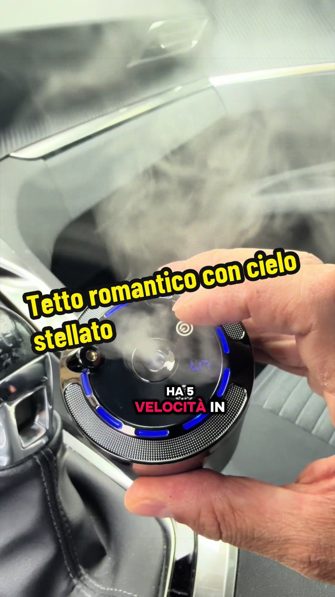@Stefano u Re Manfredi e Vivy❤️