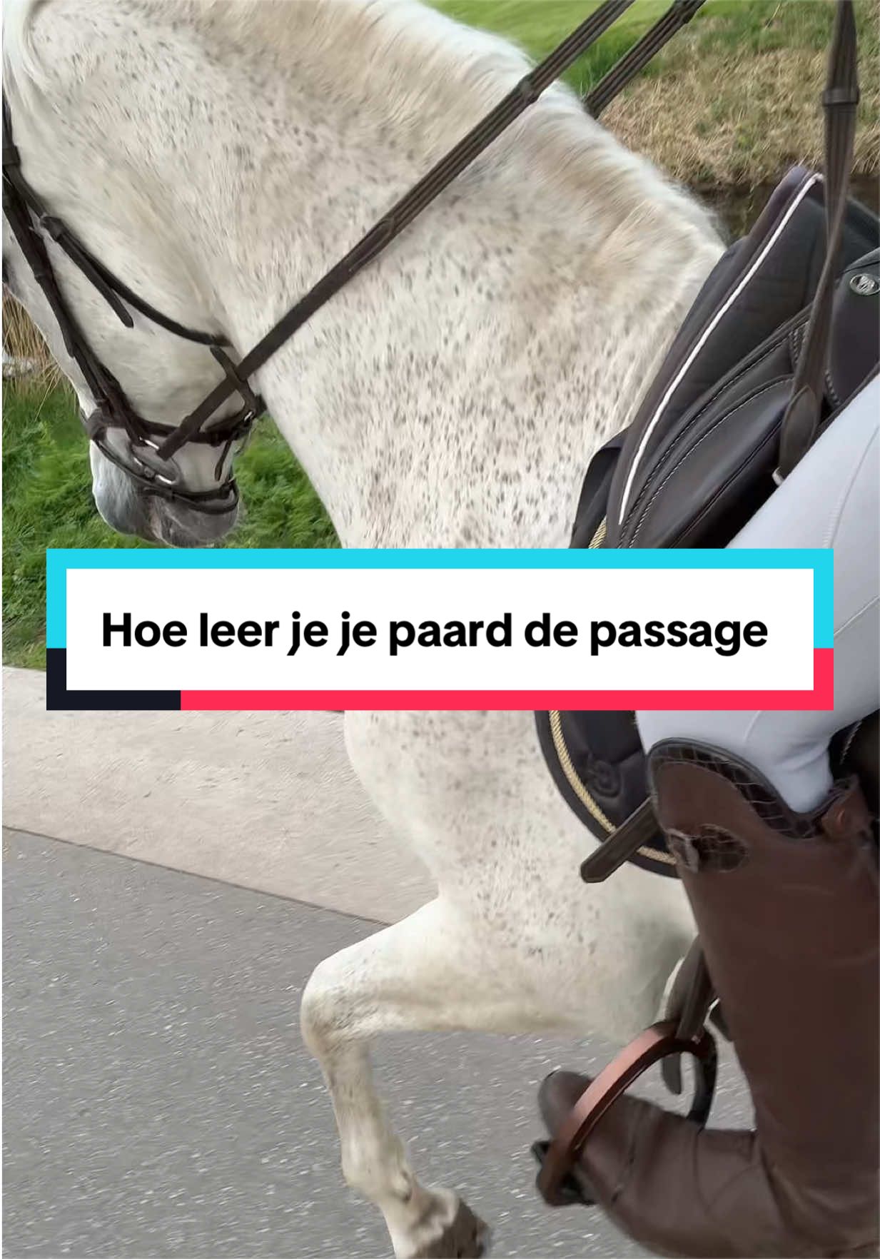 @Pietrik 🌱
