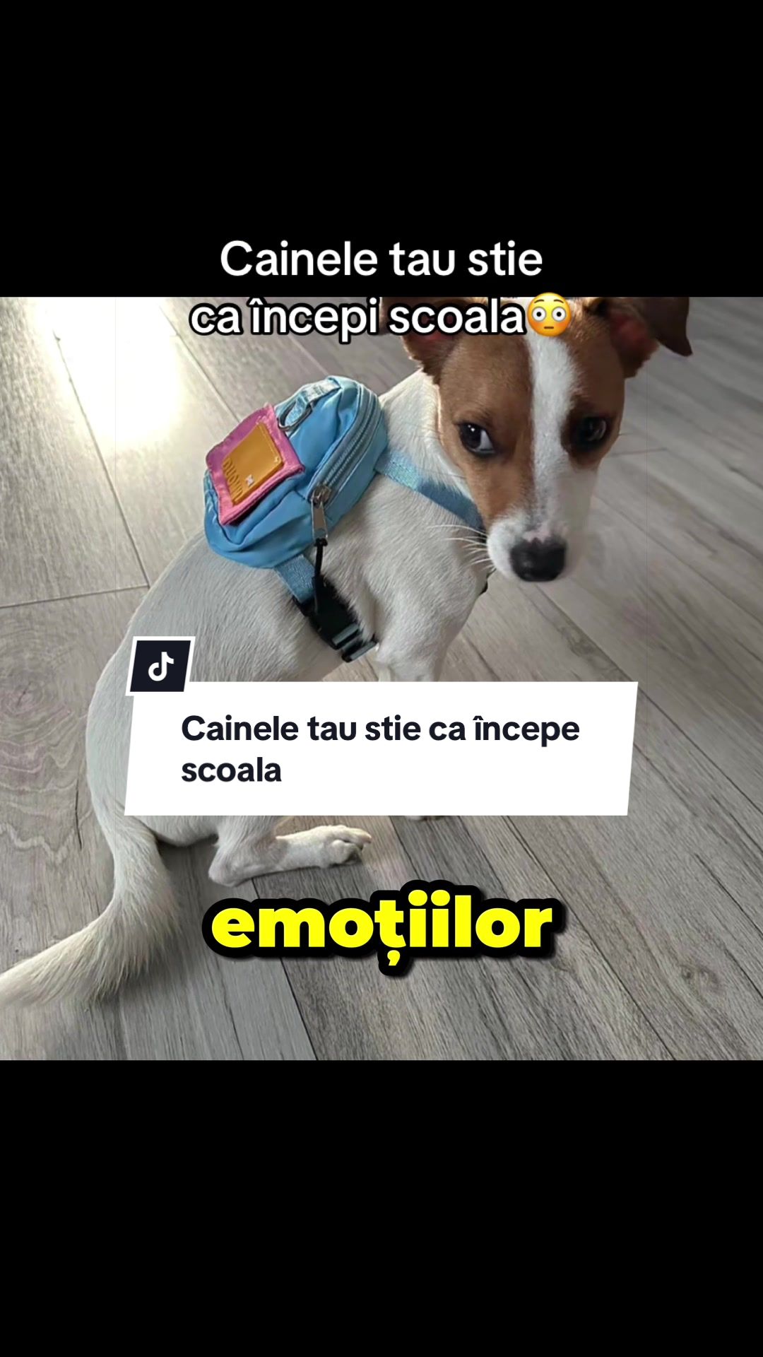 @CostiCuriosul