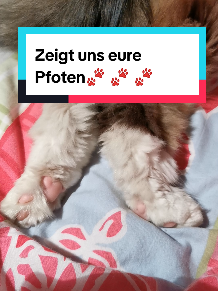 @animalslover