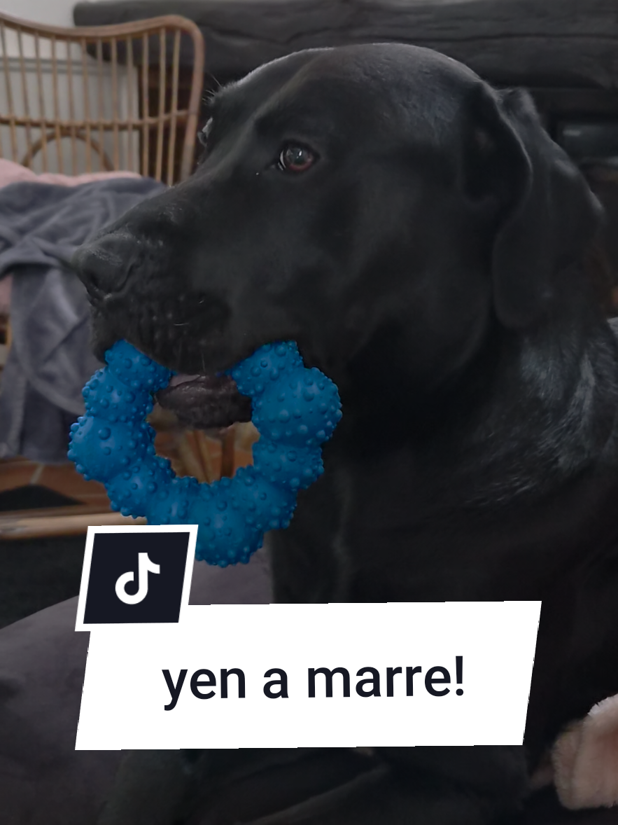 @Battman Batou