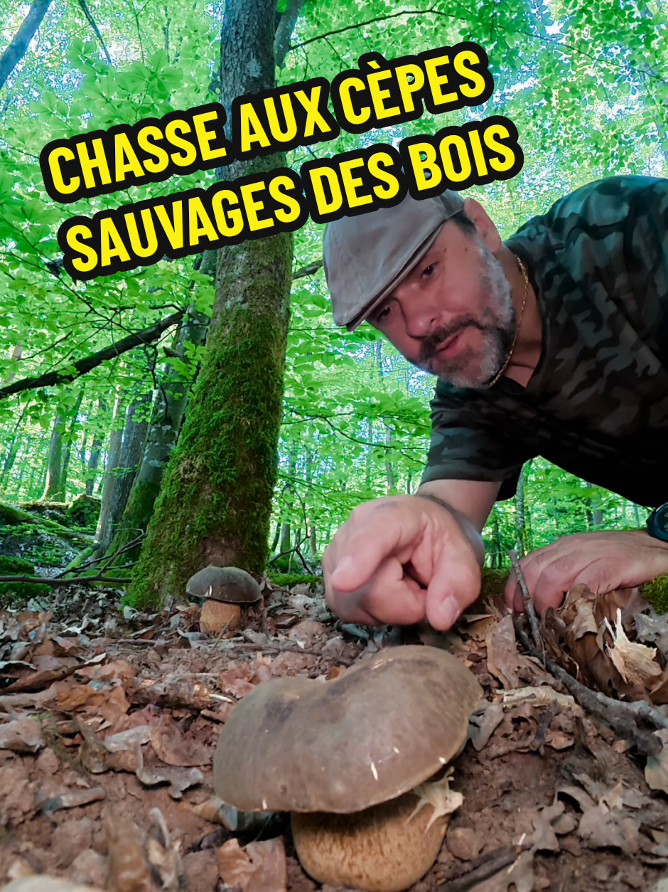 @Dan 🍄🟫 Le Champologue