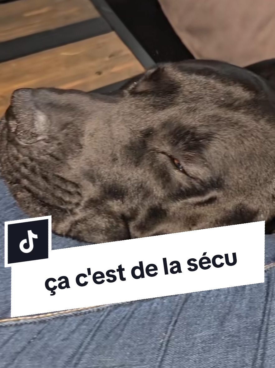 @Battman Batou