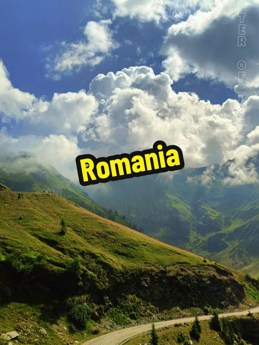 @Marcin ogrodnik