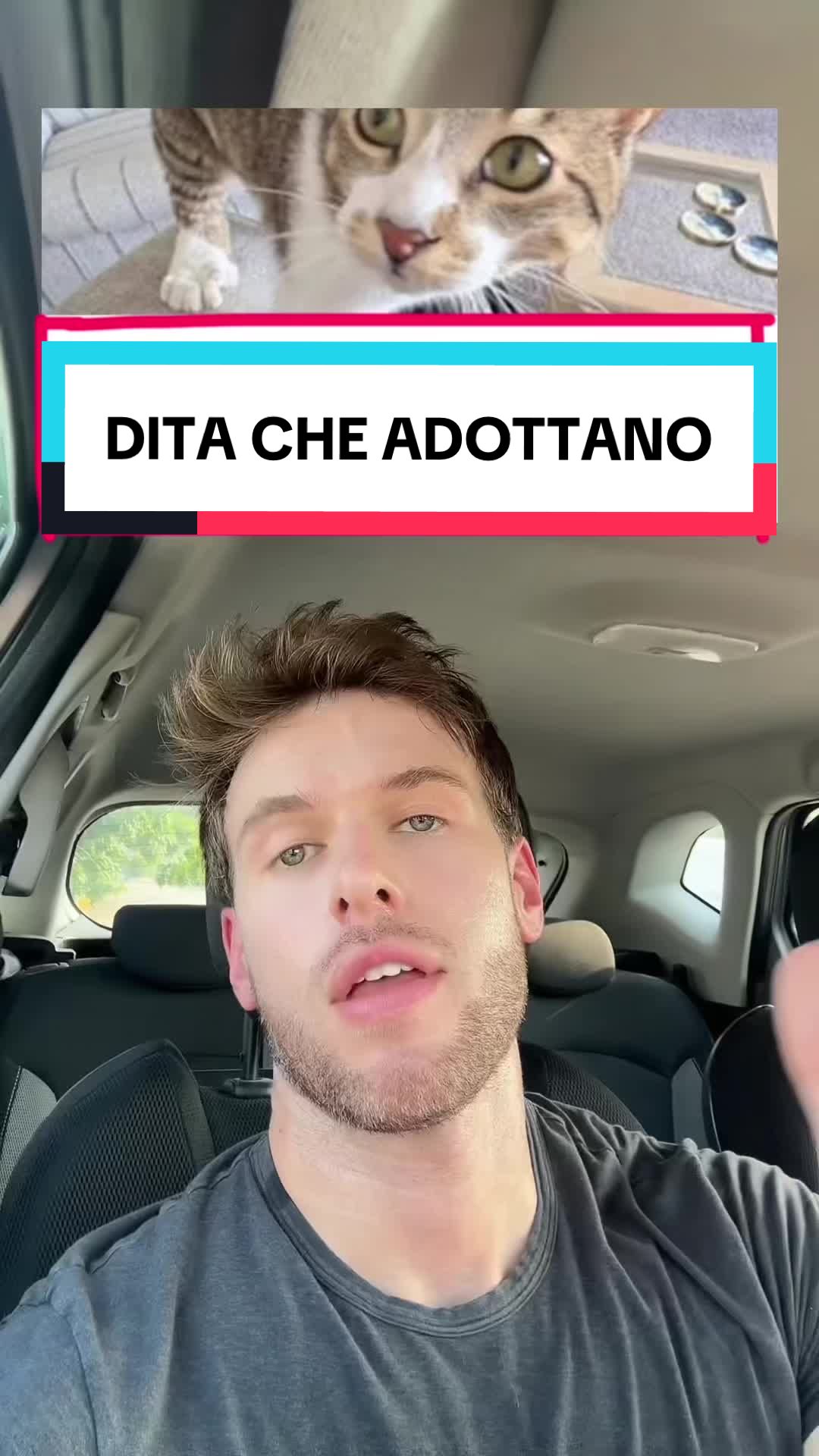 @GrammaticoAntipatico