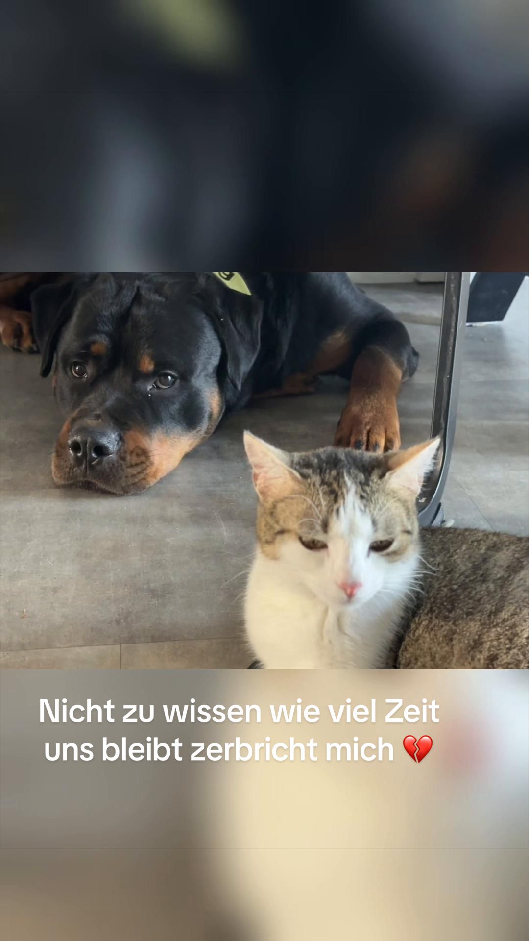 @teufels_tochter_666