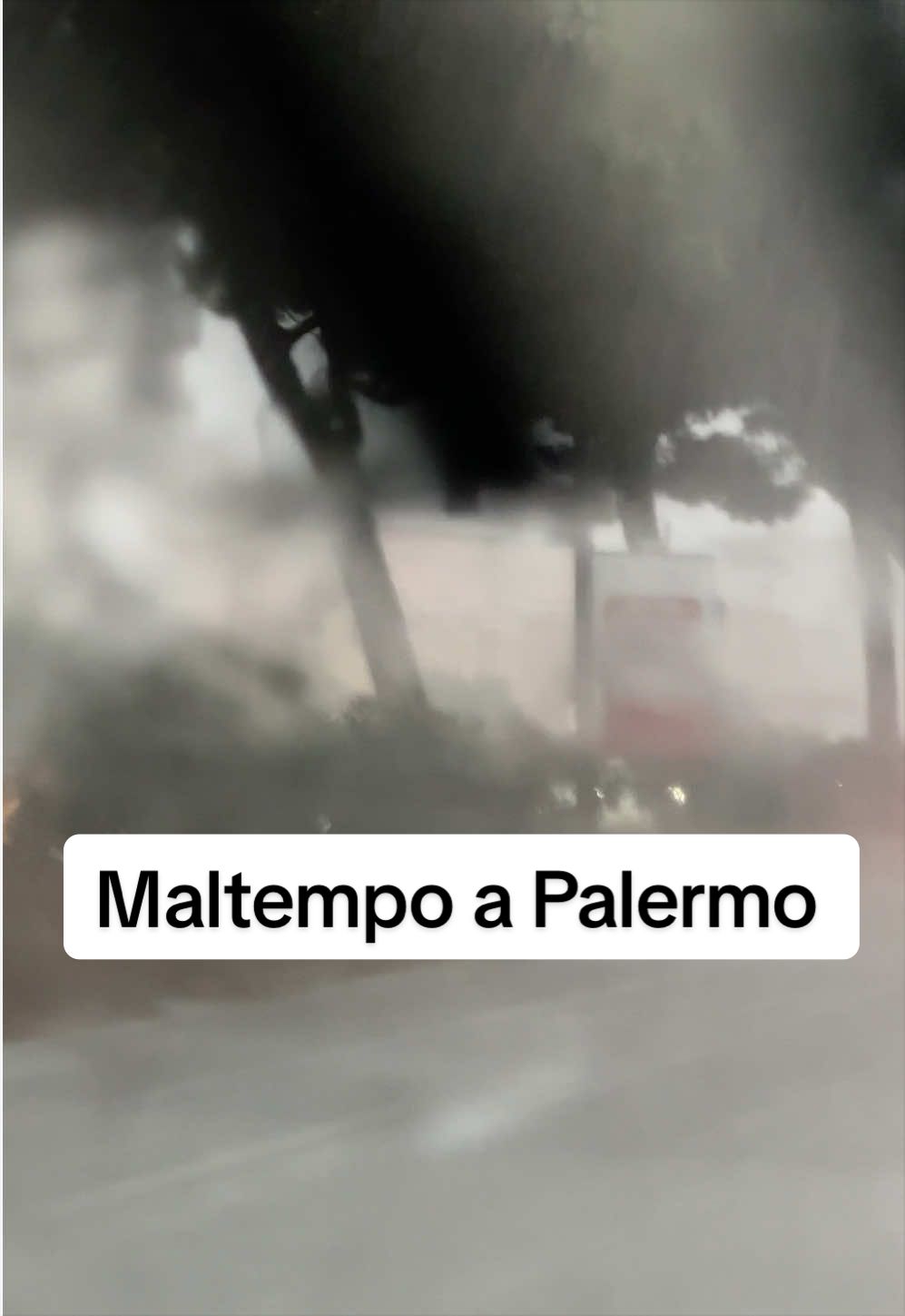 @Sicilia Palermo Sferracavallo