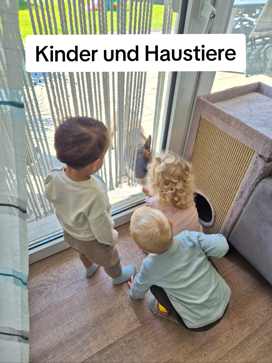 @KleineWeltGro&szlig;eFragen👶💞