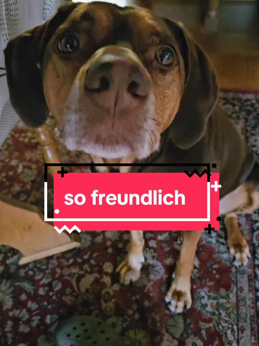 @Paddy und Sally