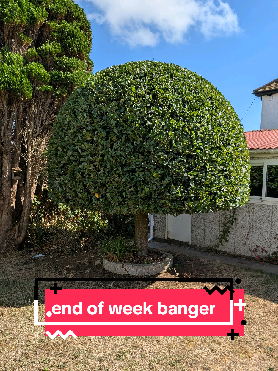 @Gary Hall Garden Services