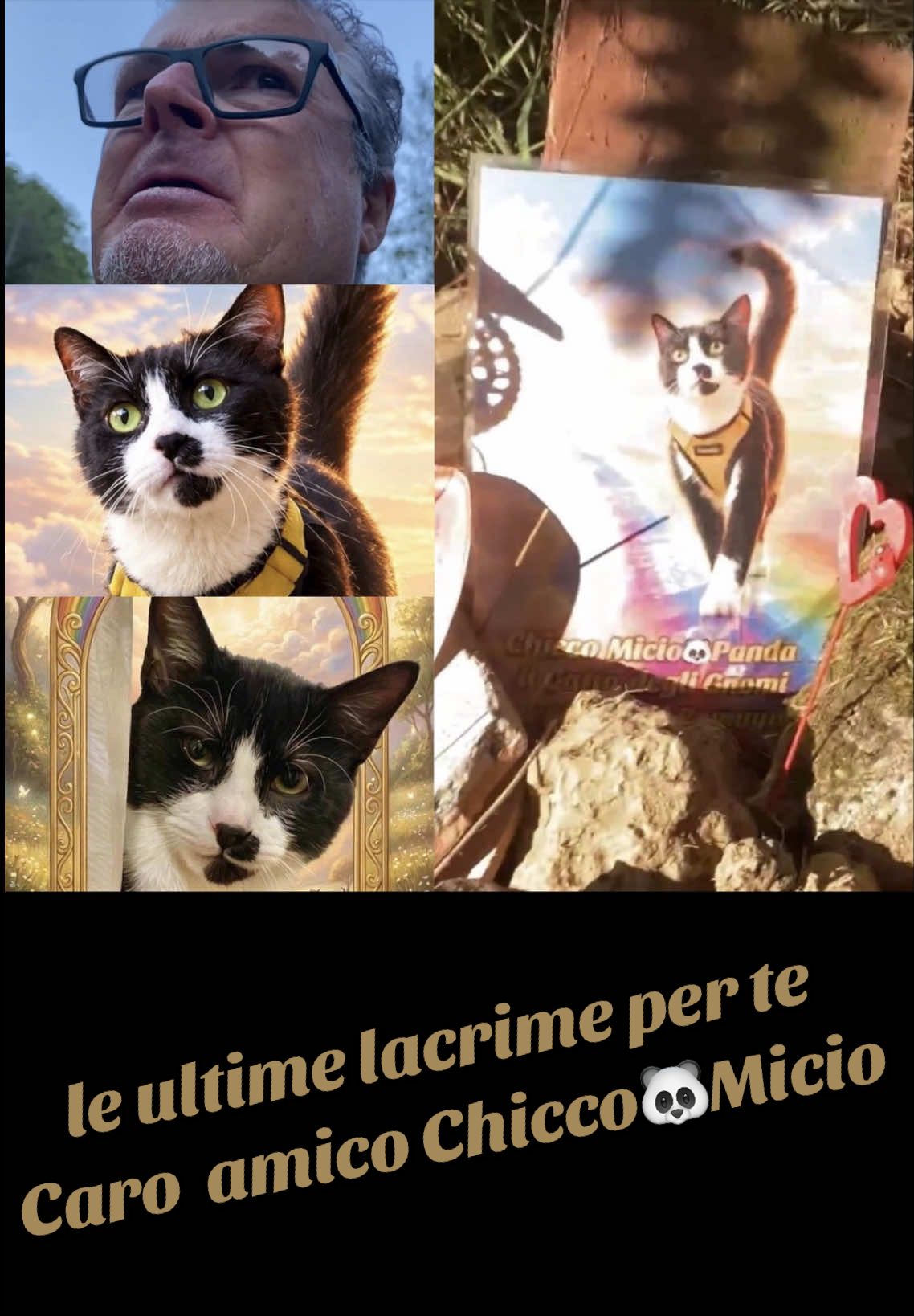 @Micio Panda 🐼