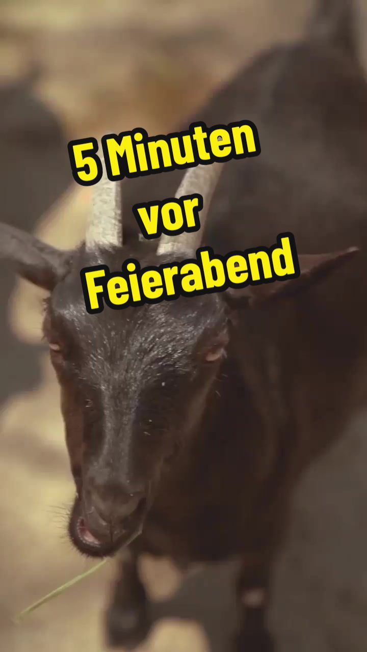 @LustichOder