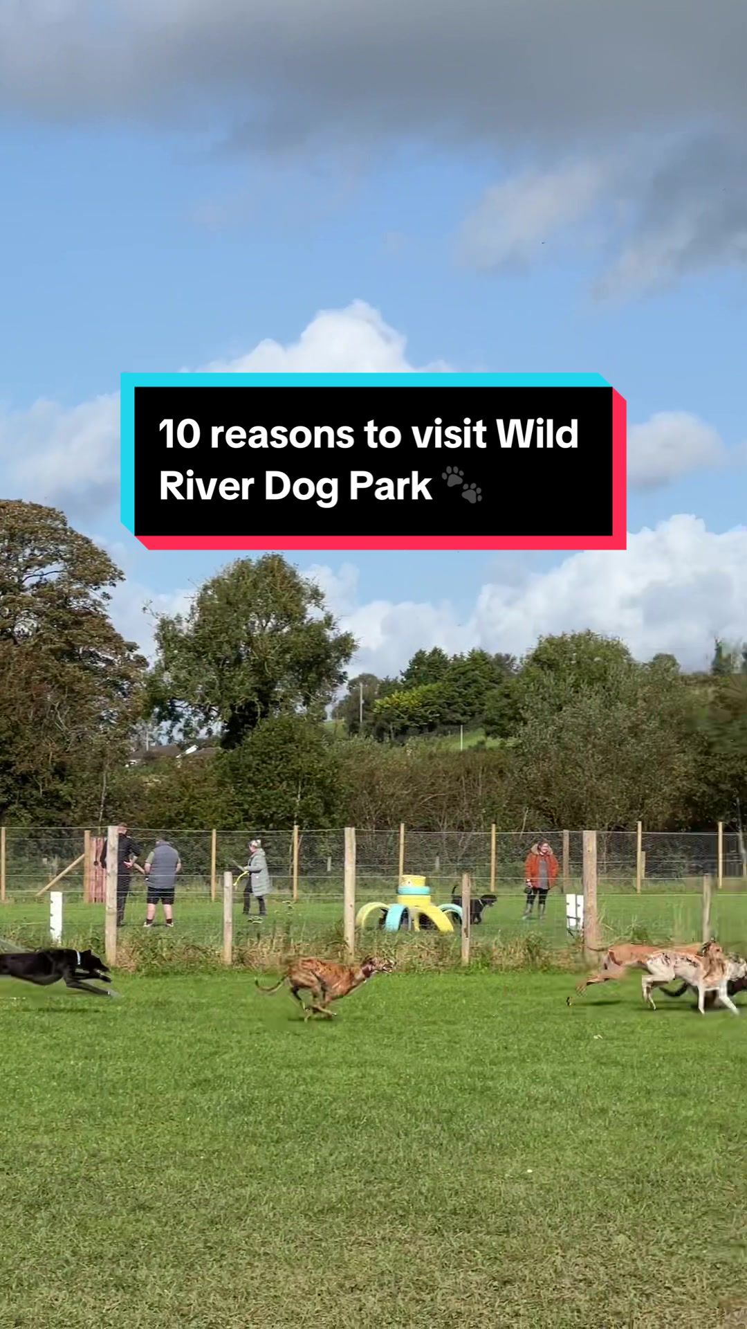 @Wild River Dog Park