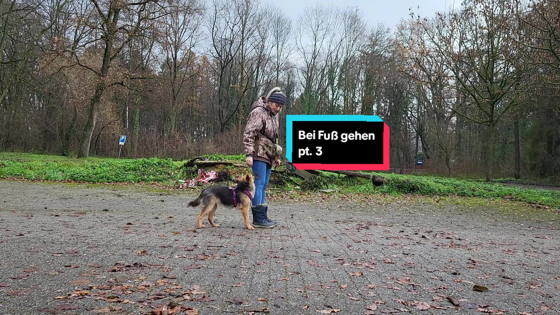 @Hundeschule Mit vier Pfoten