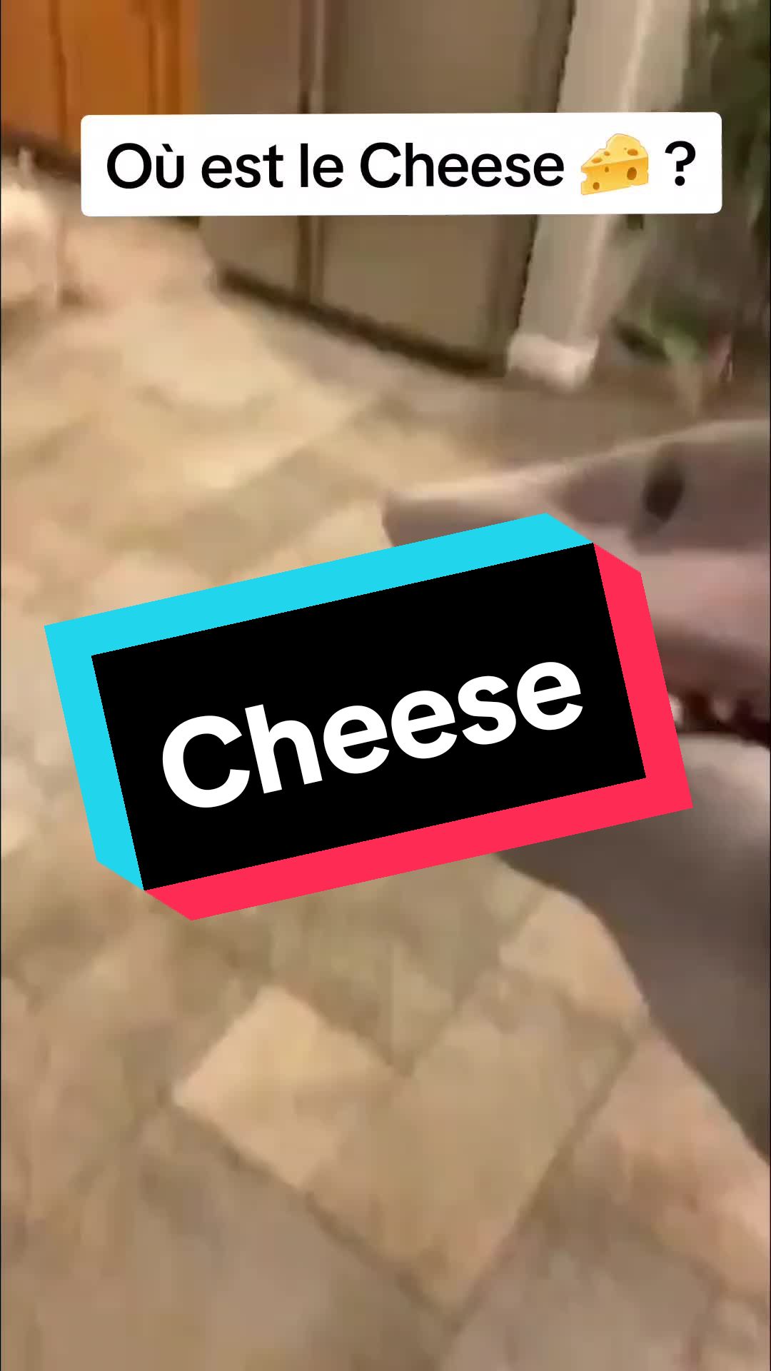 @Fireworks_Only