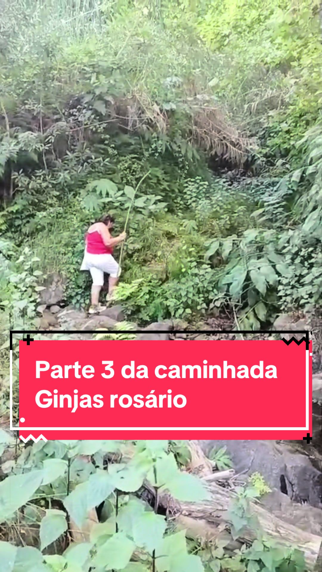 @Graca.Madeira