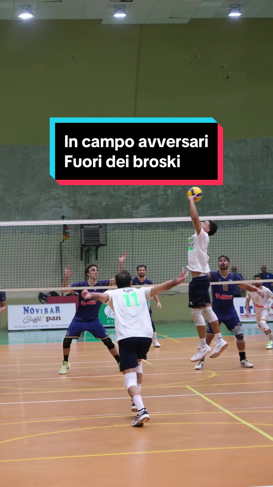 @Pallavolo la Bollente